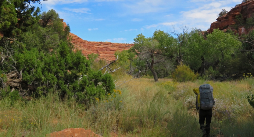 A person wearing a backpack stands in a grassy valley surrounded by red canyon walls. 